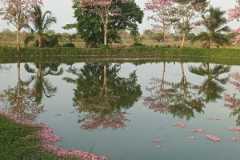 WhatsApp-Image-2026-07-09-at-3.04.23-PM